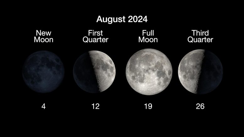 Ay Evreleri Ağustos 2024