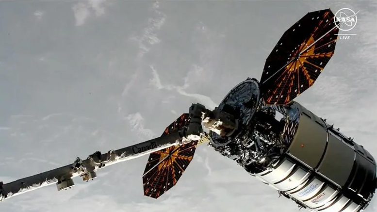 Cygnus Uzay Gemisi Canadarm2 Robotik Kolunun Pençesinde