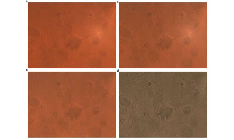 Tianwen-1 tarafından hazırlanan, piksel başına 76 milyon küresel renkli görüntü veri seti ve Mars haritası yayımlandı