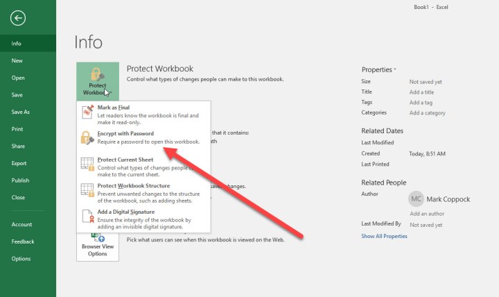 Excel 2016 Çalışma Kitabını Koru seçenekleri.