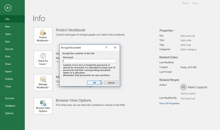 Excel, kullanıcıdan belge için bir parola oluşturmasını ve girmesini istiyor.