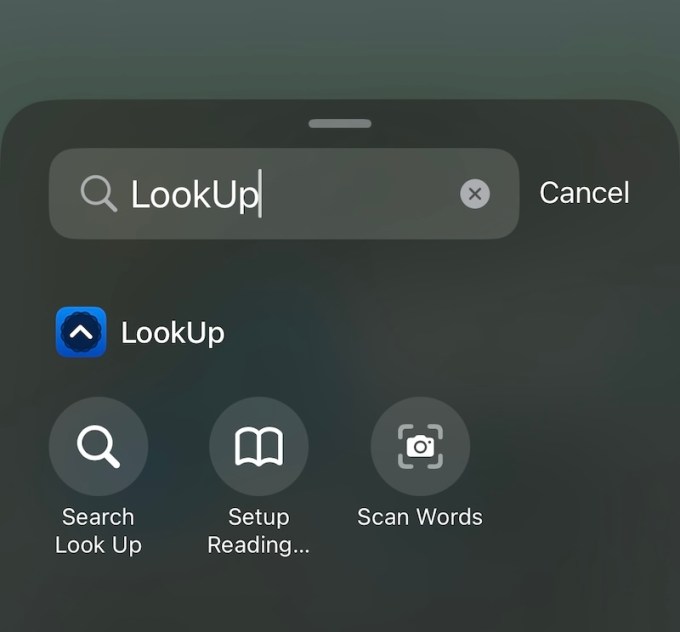 Arama iOS 18 kontrol widget'ı