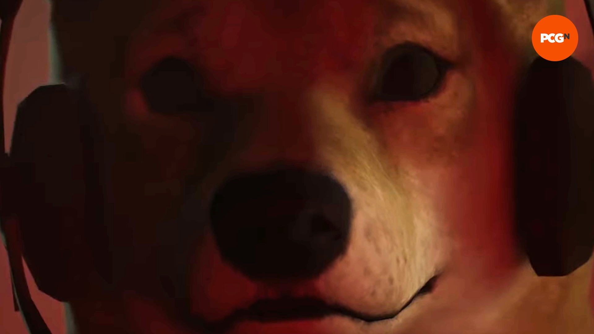 Silent Hill 2'de köpek Mira James'e bakıyor 