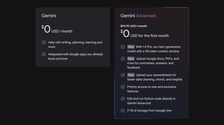 Gemini Advanced'in sunduğu hizmetlerin ekran görüntüsü.