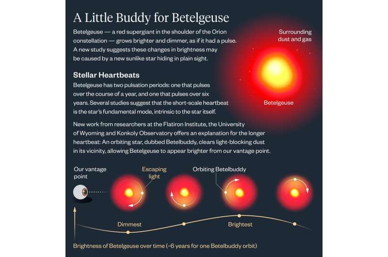 Betelgeuse Betelgeuse'mu? Parlak yıldız Betelgeuse'un muhtemelen bir 'Betelbuddy' yıldız arkadaşı var