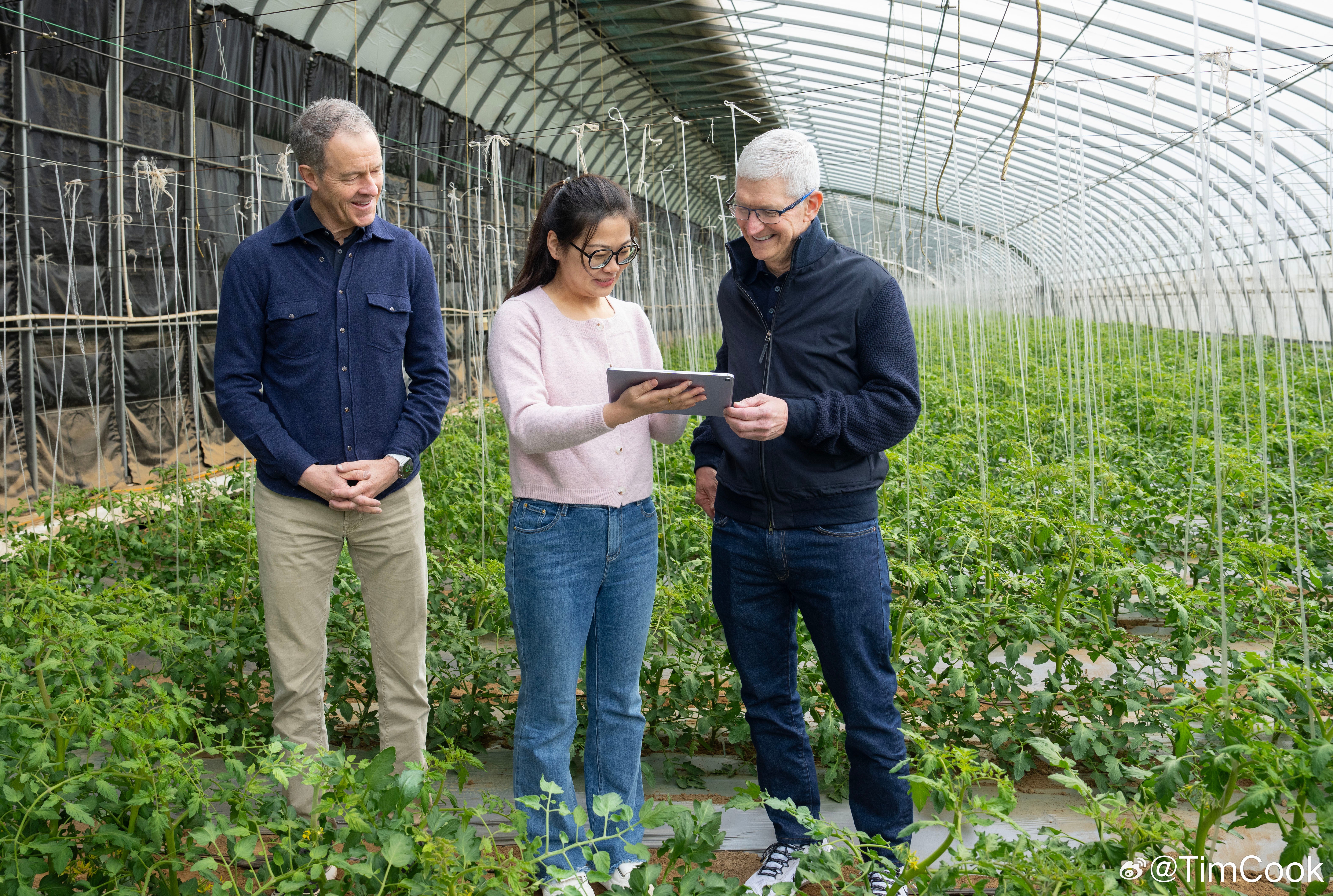 Apple CEO'su Tim Cook, Pekin'in Shunyi bölgesindeki bir çiftliği ziyaret ederek Çin Ziraat Üniversitesi ve Zhejiang Üniversitesi öğrencileriyle buluştu. | Resim kredisi - Tim Cook, Weibo - Tim Cook bir kez daha Çin'de, ancak Apple Intelligence hakkında hiçbir haber yok