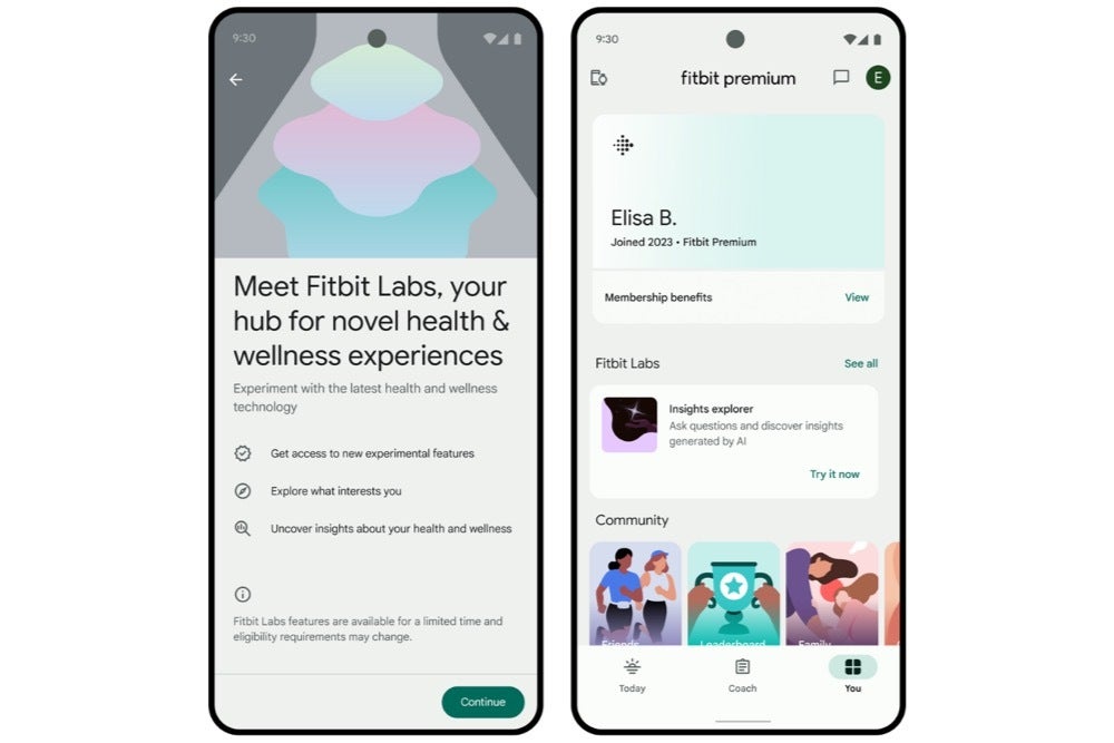 Fitbit Labs arayüzünün ekran görüntüsü