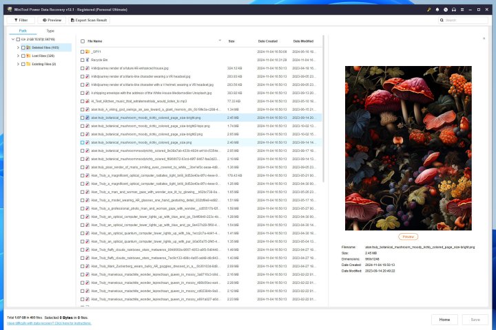 MiniTool Power Data Recovery, nelerin geri yüklenebileceğinin doğru bir önizlemesini gösterir.