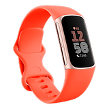 Fitbit Şarjı 6