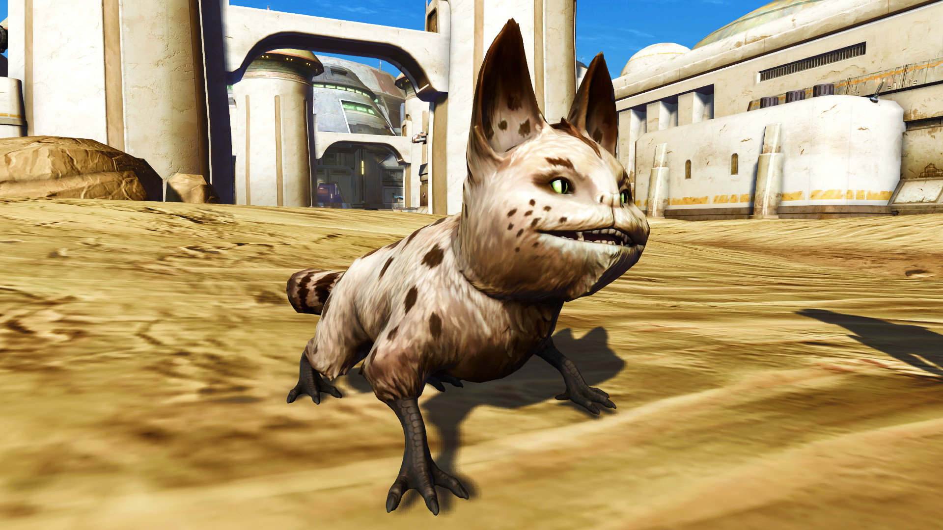 Star Wars The Old Republic güncellemesi 7.6 - MMORPG'deki yeni Frecked Loth Cat mini evcil hayvanı.