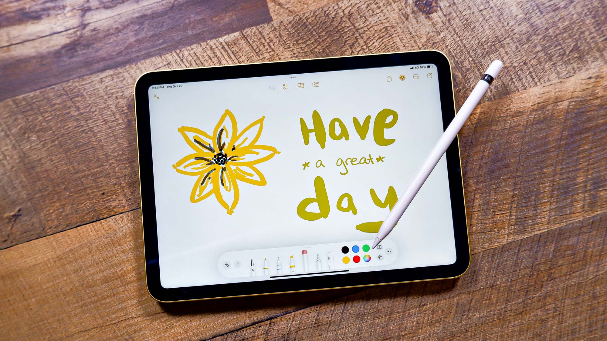 iPad 2022 Apple Karakalem çiçek çizimi