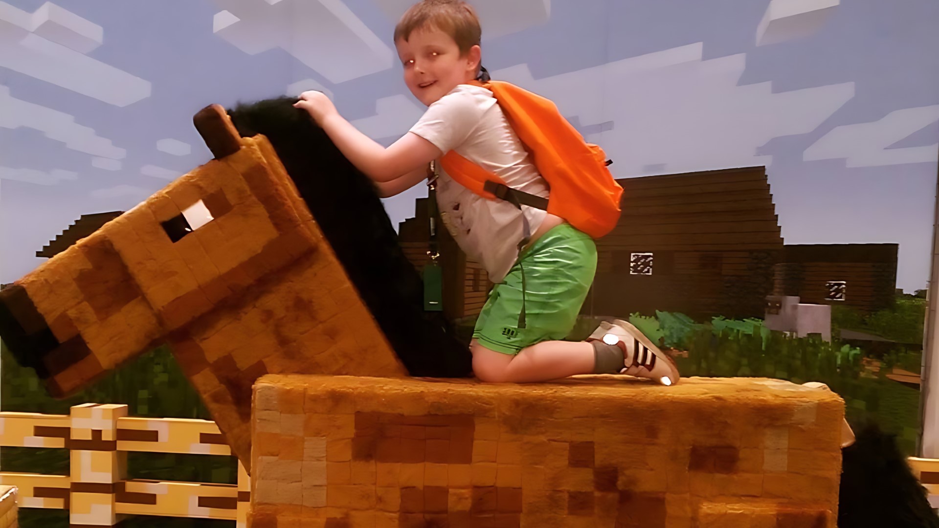 Minecon 2015 görselleri