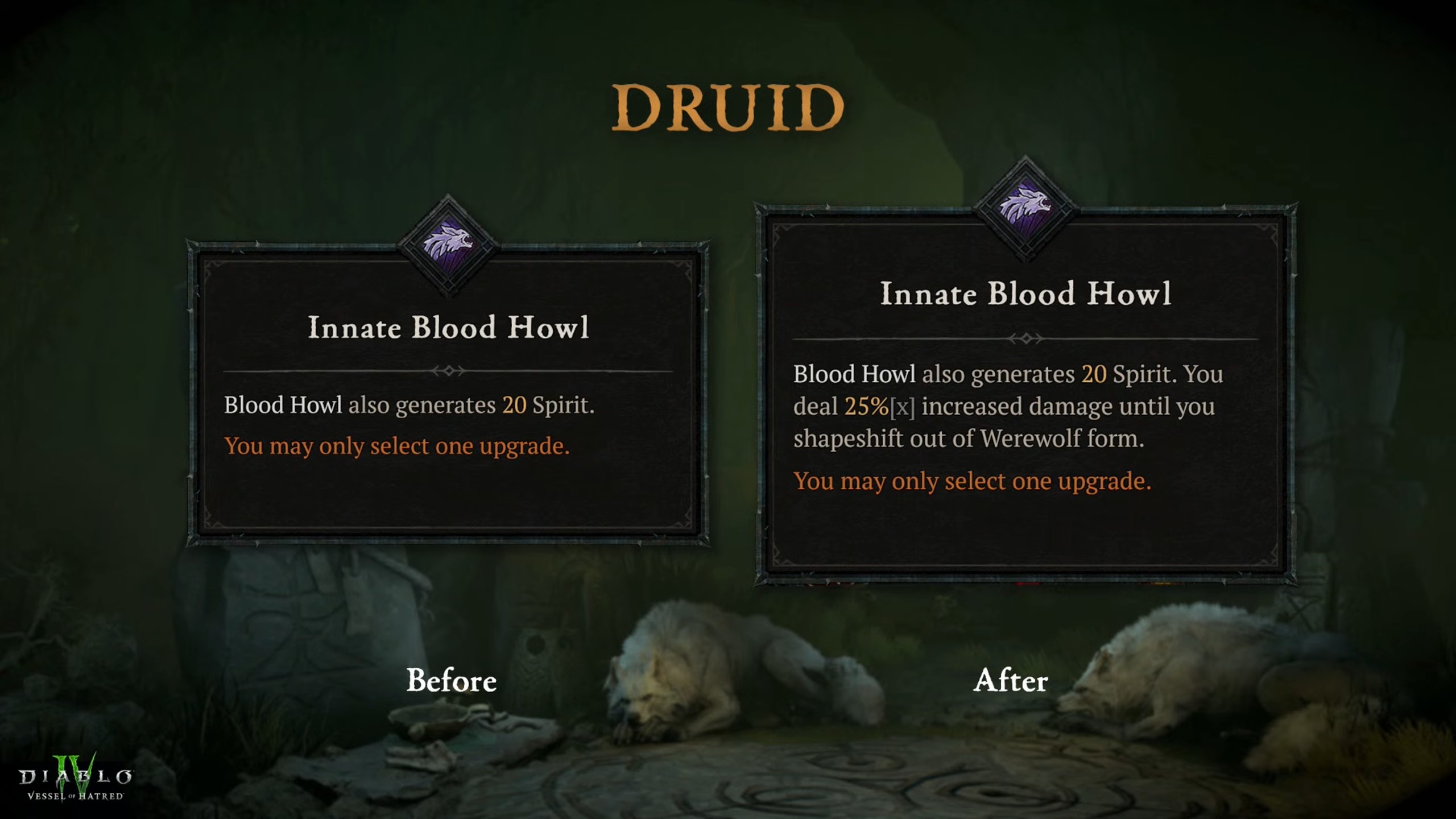 Diablo 4'teki Druid sınıfındaki değişiklikleri gösteren slaytlar