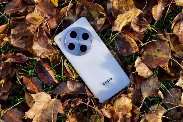 Oppo Find X8 Pro'nun arkası.