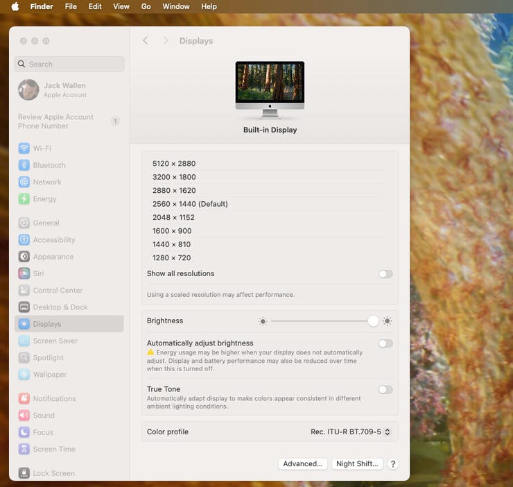 Sistem Ayarlarının MacOS Görüntüleri bölümü.
