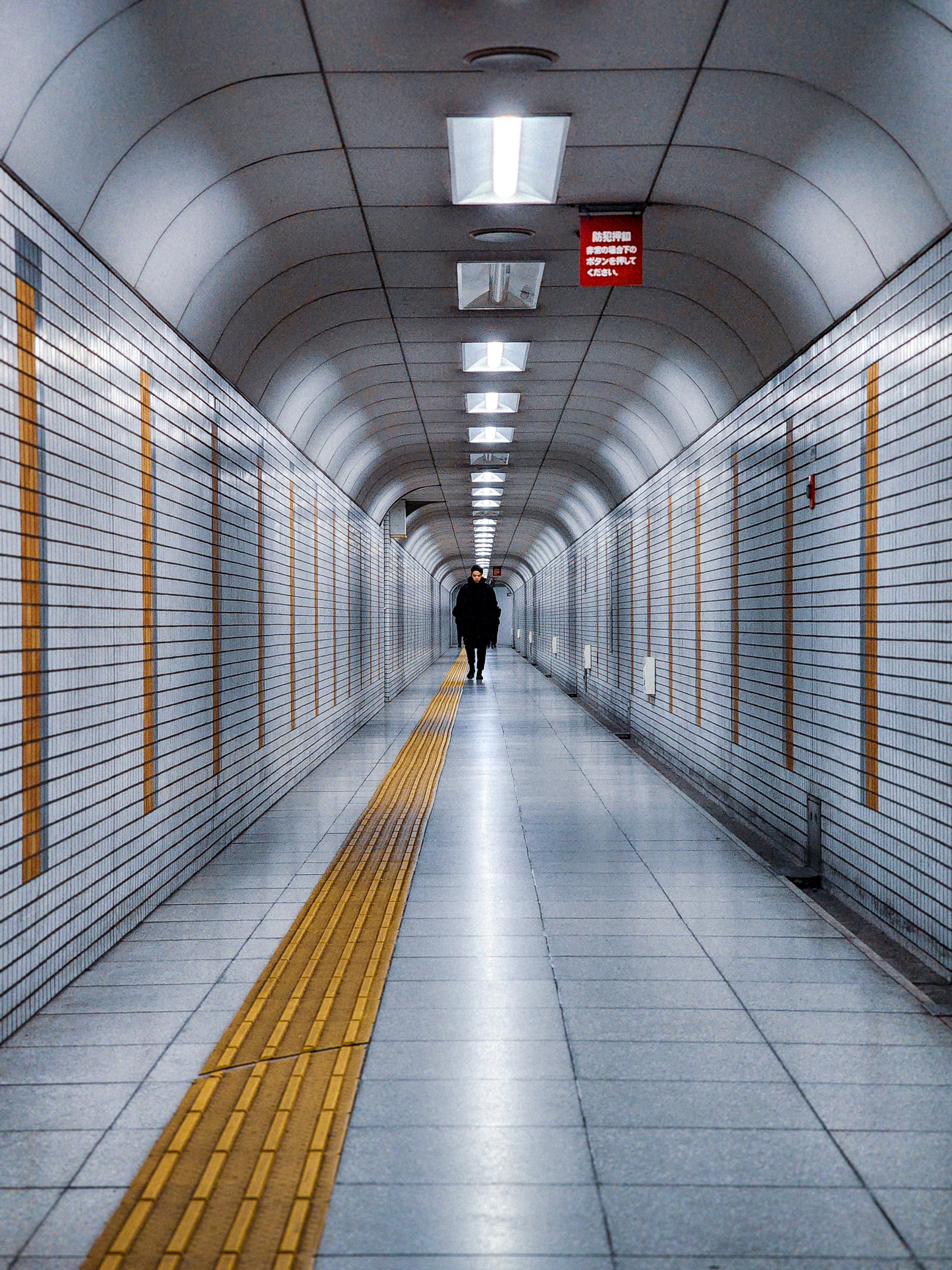 Tünel | Resim Kredisi - Steven Tirado - Haftanın Fotoğrafı: Bunlar en iyi fotoğraflarınız