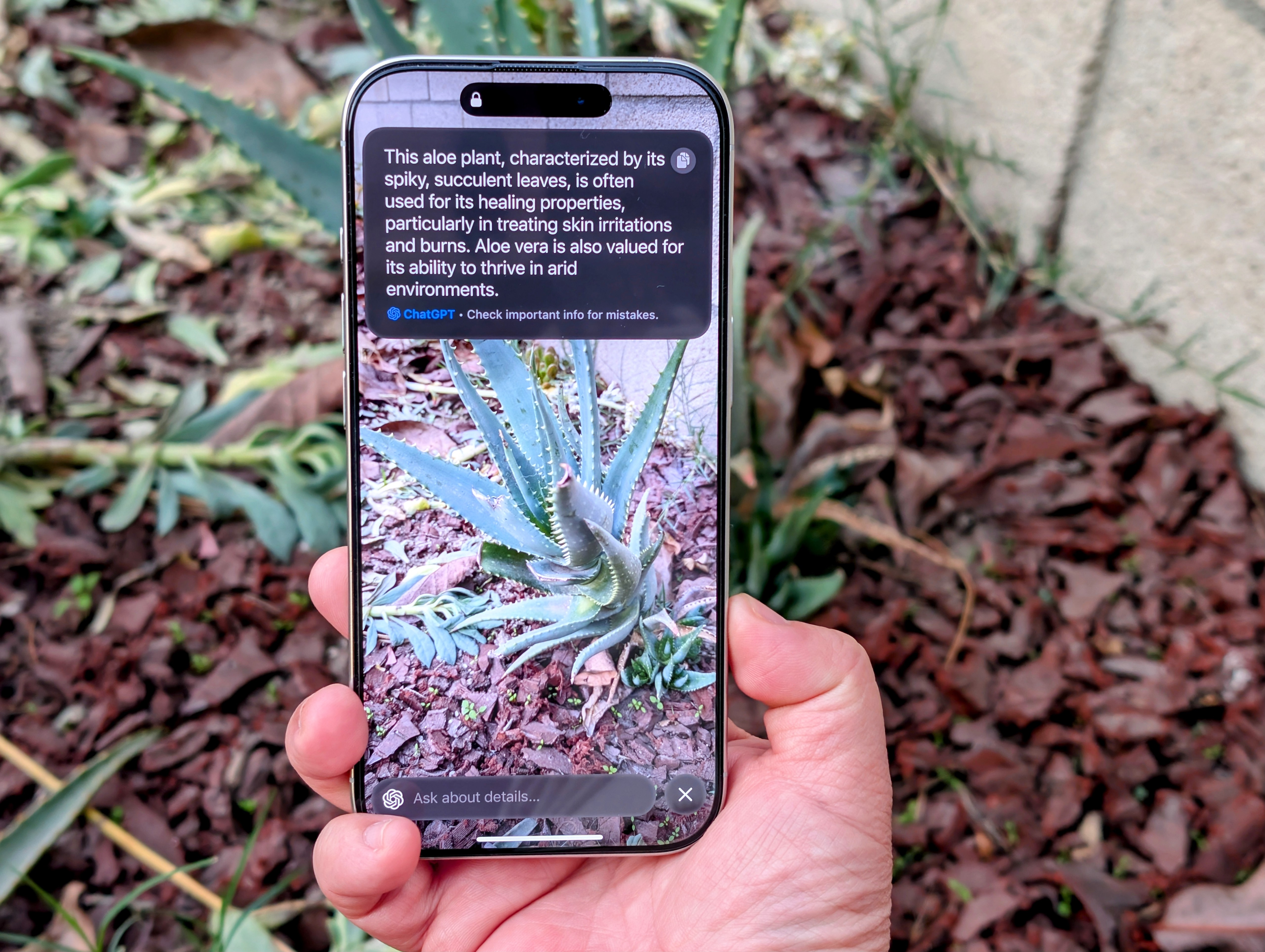 ChatGPT yanıtını gösteren iPhone 16 Pro'da Görsel Zekayı kullanma.