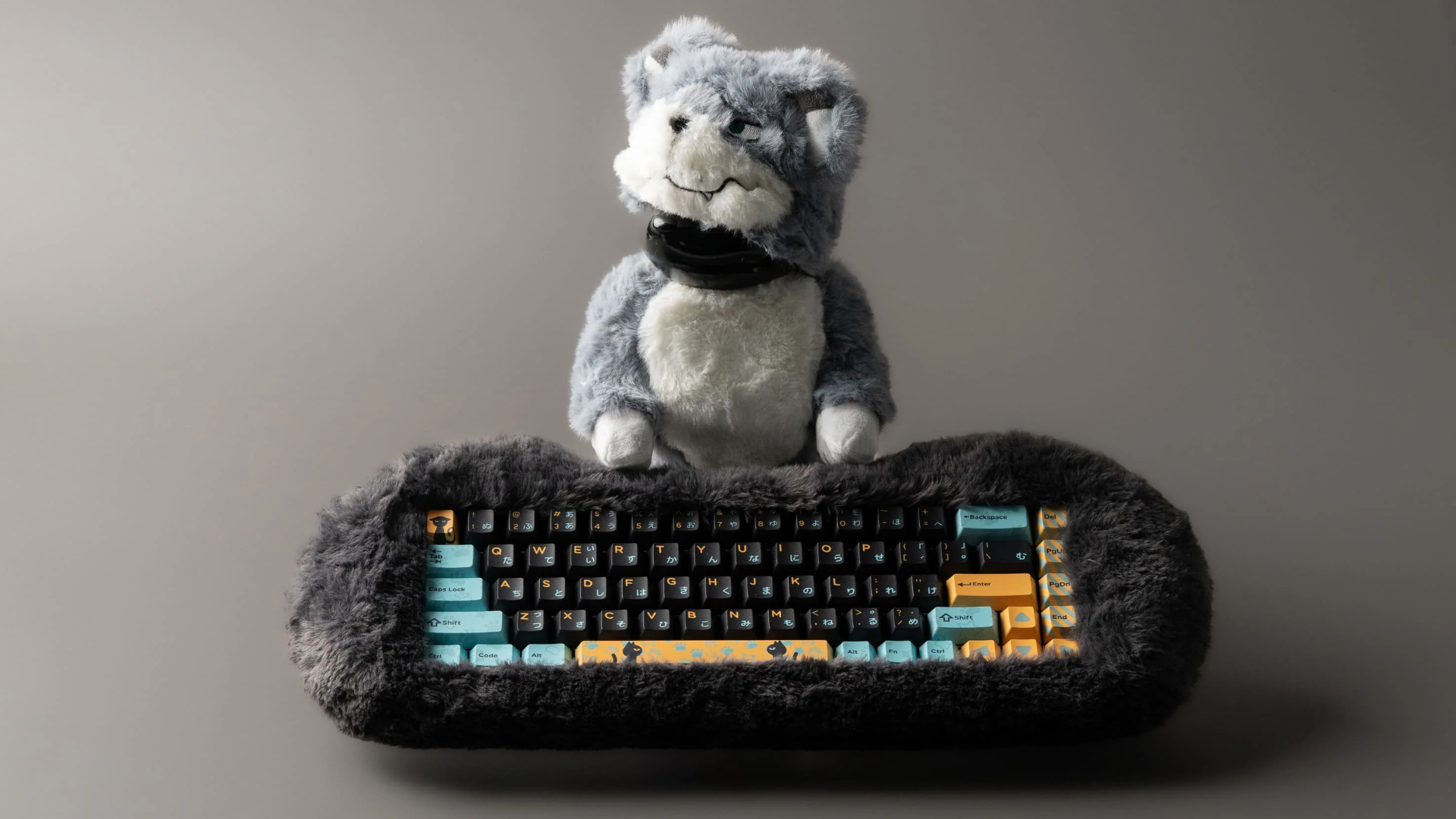 Petbrick 65 kedi klavyesi ve oyuncak
