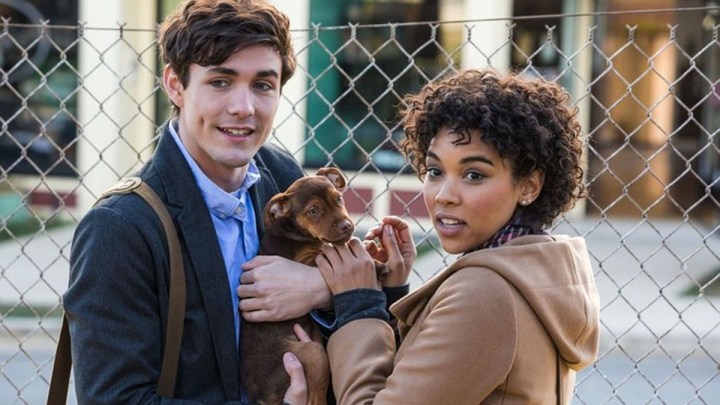 Jonah Hauer-King ve Alexandra Shipp, A Dog's Way Home'da bir köpeği tutuyorlar.