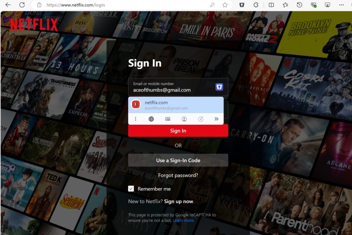 Enpass, şifre kutusunu seçtikten sonra Netflix oturum açma bilgilerimi otomatik olarak doldurdu.