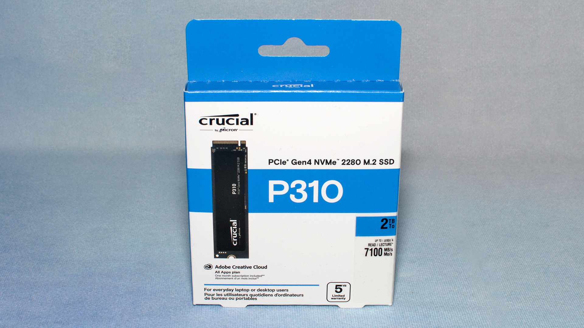 Önemli P310 (2280) SSD