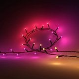 Philips Hue Festivali