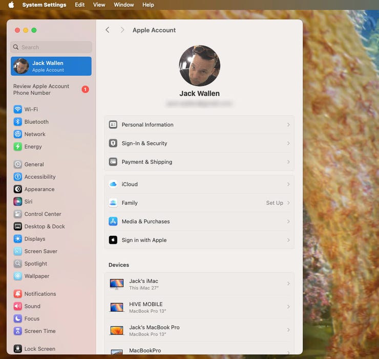 MacOS Sistem Ayarları.