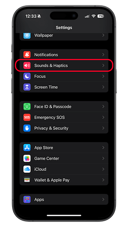Sesler ve Dokunuşlar işaretli bir iPhone'daki ayarlar menüsü.