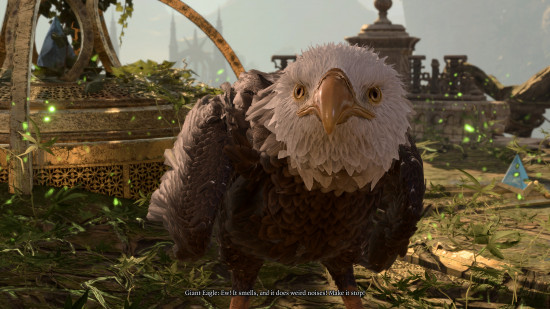 baldurs-gate-3-en iyi-npcs-dev-kartal Kokladığını söyleyen Dev Kartal, annesinden tuhaf sesler çıkarmanı durdurmasını istiyor