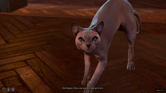 baldurs-gate-3-en iyi-npcs-kediler-köpekler-majesteleri Majesteleri adında çıplak bir kedi, kendi bölgesinde olduğunuz için size tıslıyor