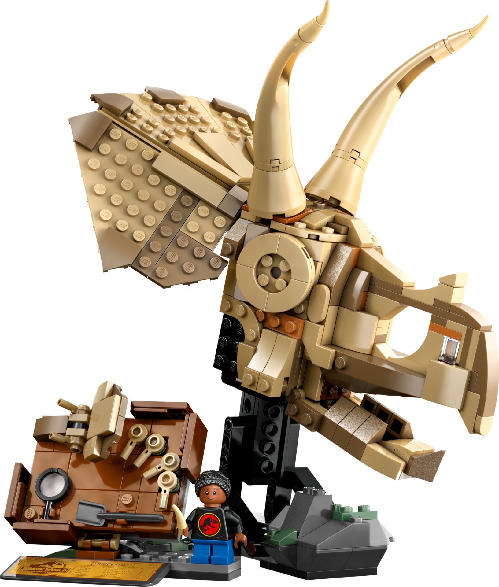 Lego Dinozor Fosili Triceratops Kafatası