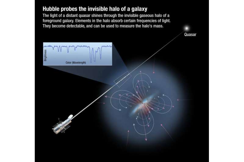 Bu sanatsal sunumda, uzak bir kuasardan gelen ışık, Dünya'ya giderken bir galaksinin hale benzeri galaksi çevresi ortamından geçiyor ve burada halenin bileşimini belirlemek için Hubble'ın Kozmik Köken Spektrografı tarafından ölçülüyor. Katkıda bulunanlar: NASA/ESA/A. Alan Vücudumuzdaki karbon muhtemelen galaksiyi terk edip kozmik 'taşıma bandına' geri geldi