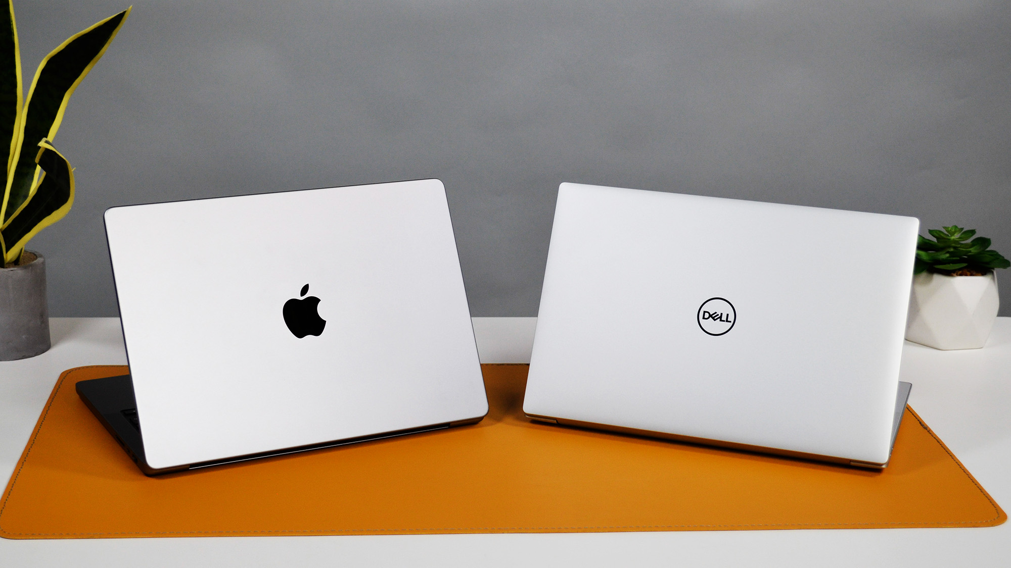 Bitkilerle dolu bir masada MacBook Pro 14 ve XPS 14 karşılaştırması