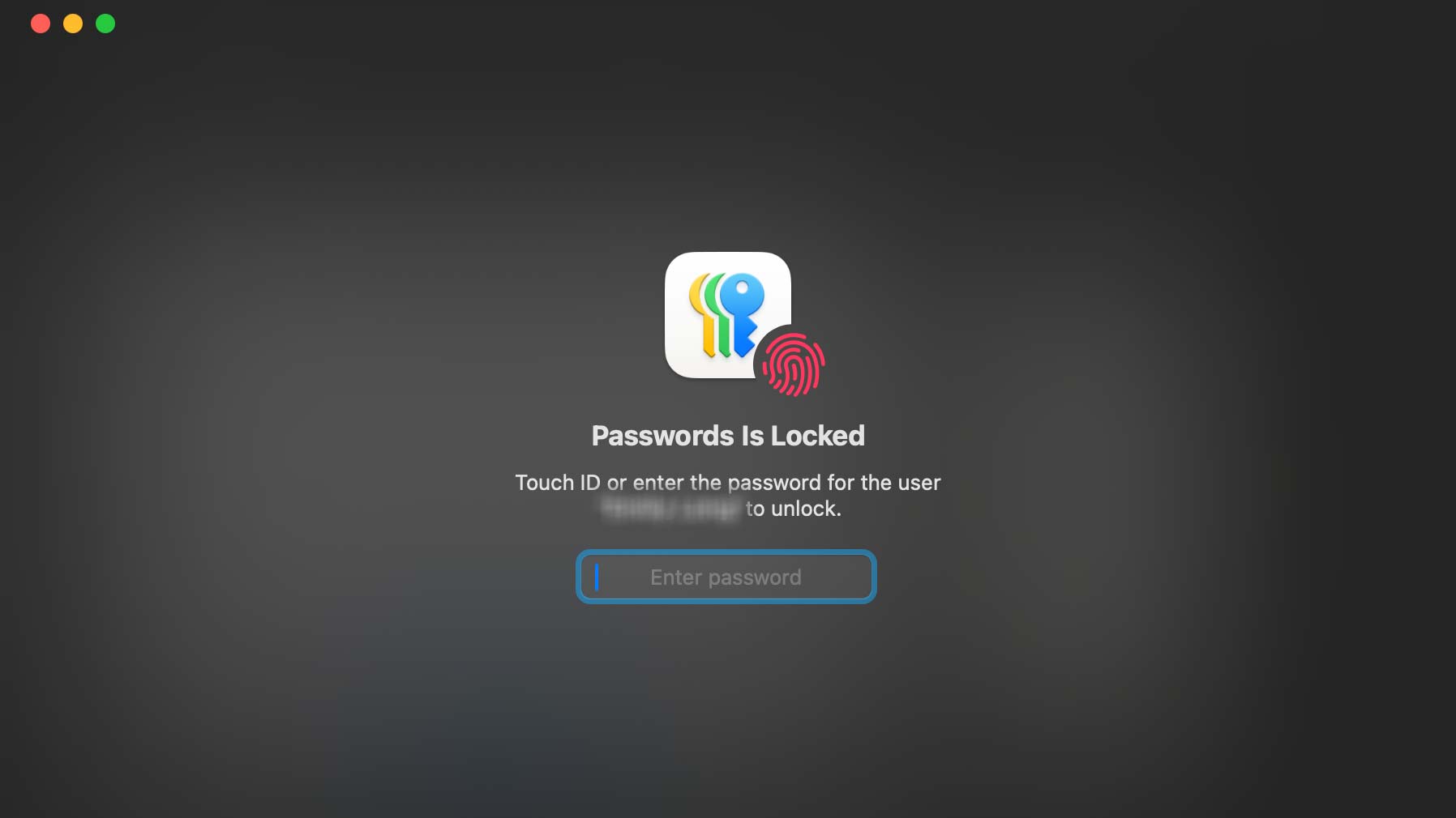 Apple Parolalarında Touch ID'nin nasıl desteklendiğini gösteren ekran görüntüsü