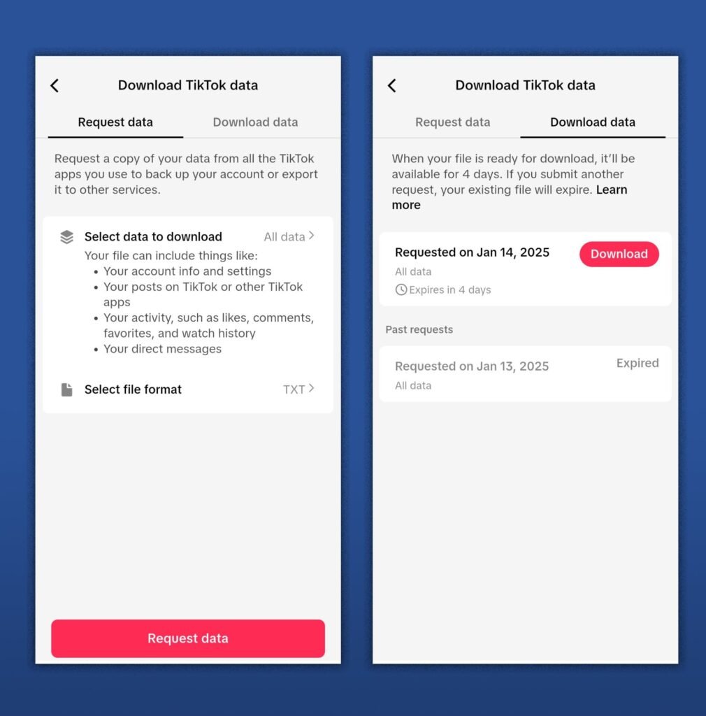 TikTok verilerinize nereden erişeceğinizi gösteren bir ekran görüntüsü