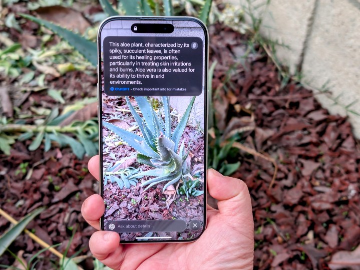 ChatGPT yanıtını gösteren iPhone 16 Pro'da Görsel Zekayı kullanma.
