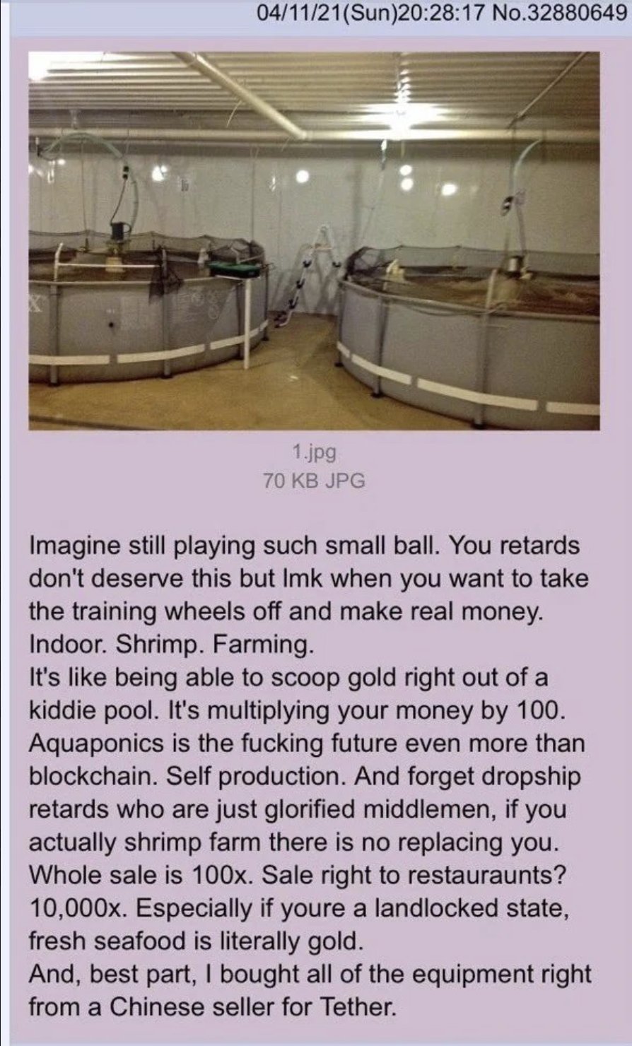 Karides yetiştiriciliğine girmekten bahseden bir kullanıcının 4chan'dan ekran görüntüsü.