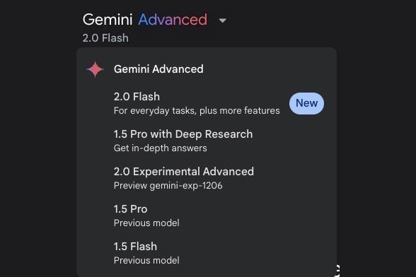 Şu anda web'de mevcut olan Gemini modellerinin ekran görüntüsü