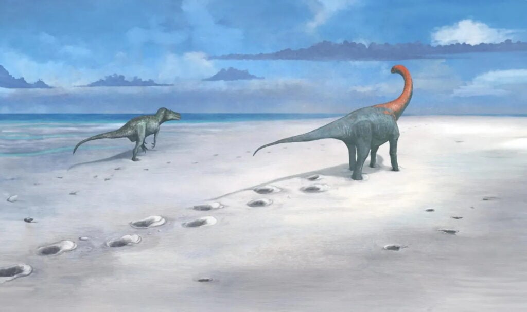 Oluşturulan yolların paleoart rekonstrüksiyonu.