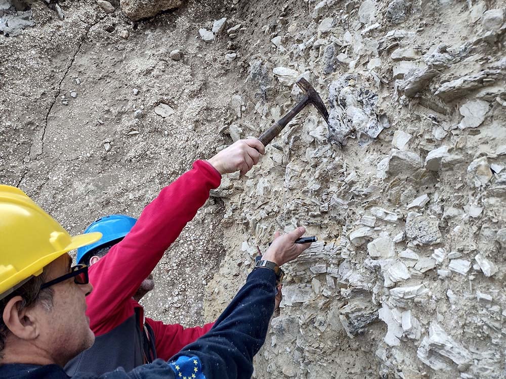 Tortuları Araştıran Araştırmacılar