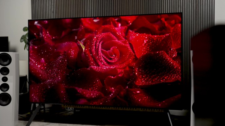 TCL QM89 115 inç