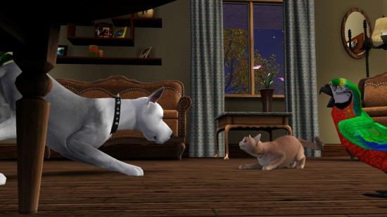 Sims'de bir kedi ve köpek dövüşüyor.