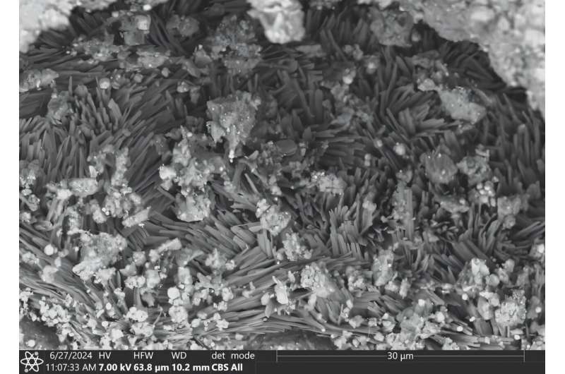 Sodyum karbonat dahil birkaç mineralin küçük kristalleri (burada resmedilmiştir) asteroit Bennu örneklerinde bulundu. Kredi: Timothy McCoy/Smithsonian Asteroit tozunun yeni analizi, erken güneş sisteminde tuzlu su kanıtı ortaya koyuyor