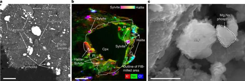 Na açısından zengin evaporit fazları. Kredi: Doğa (2025). Doi: 10.1038/s41586-024-08495-6 Bozulmamış asteroit örnekleri eski güneş sisteminin sırlarını ortaya çıkarır