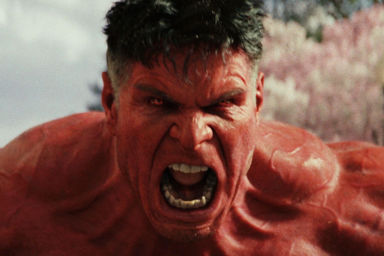 Harrison Ford Red Hulk