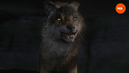KCD2-MUTT kurt Krallık Gelin Kurtuluş 2 Mutt: Karanlık bir mağaradan şiddetli görünümlü bir kurt ortaya çıkıyor.