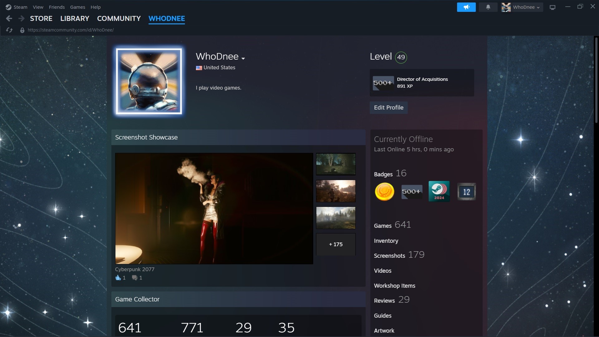 Steam Profili Ekran Görüntüsü