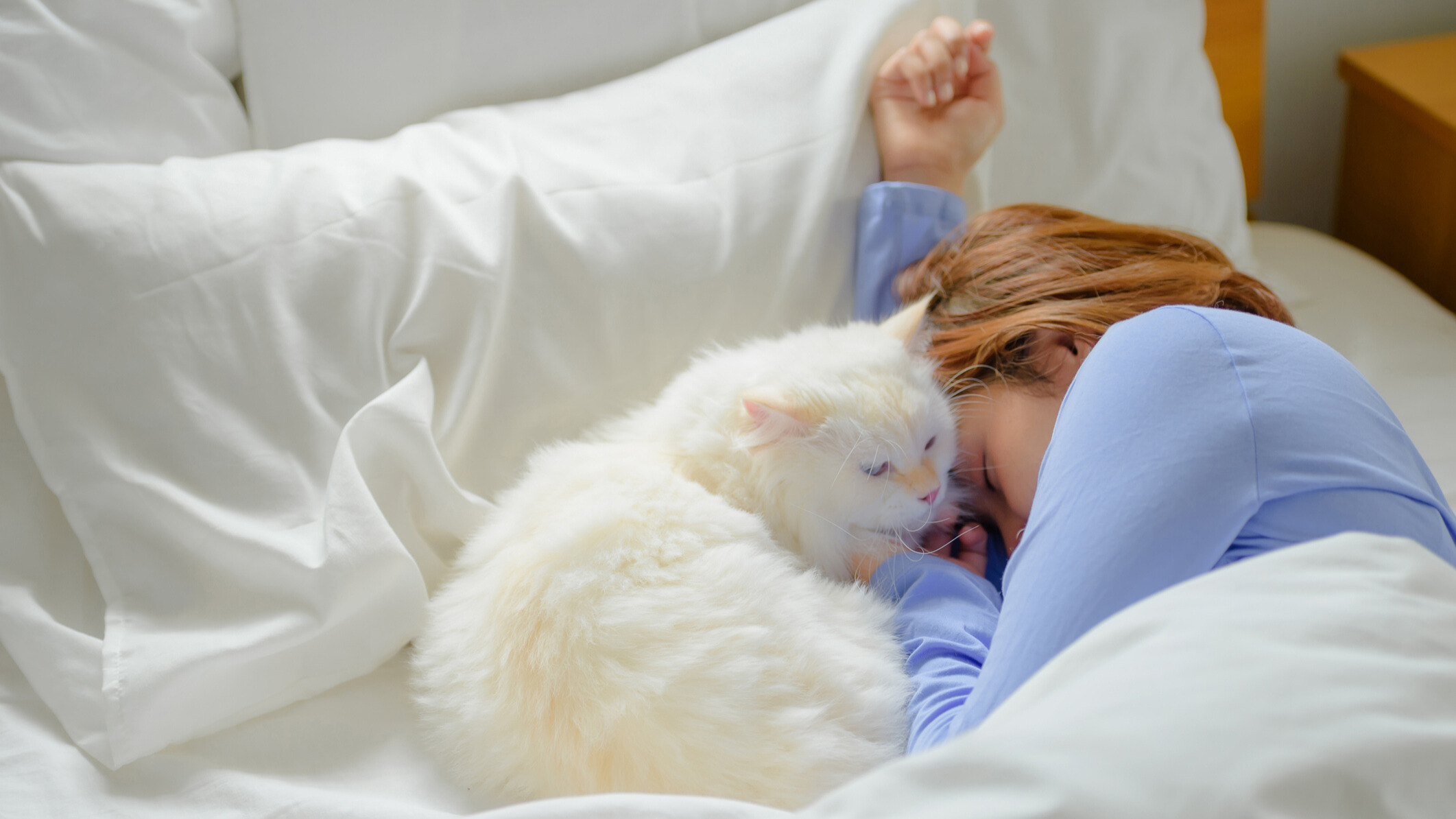 Yatakta uyuyan bir bayanın yanında yatakta beyaz bir kedi oturur