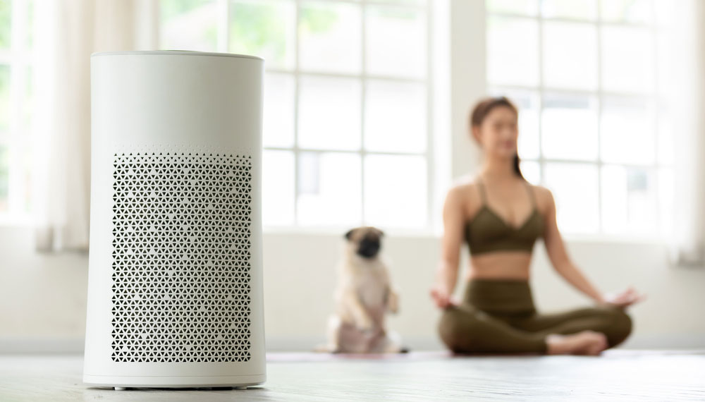 Arka planda yoga yapıyor kadın ve köpek ile hava temizleyici.