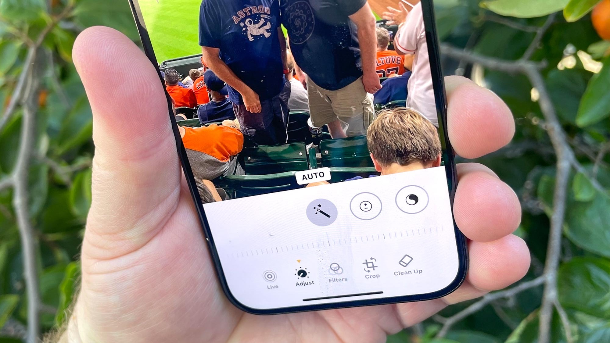 IOS 18.1'de çalışan fotoğraf uygulamalarında aracı temizleyin